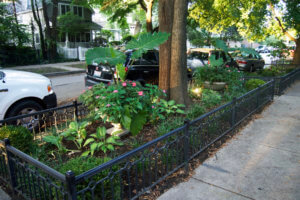 Landscaping with fencing chicago