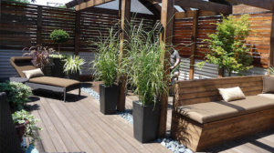 Roof Deck Planters