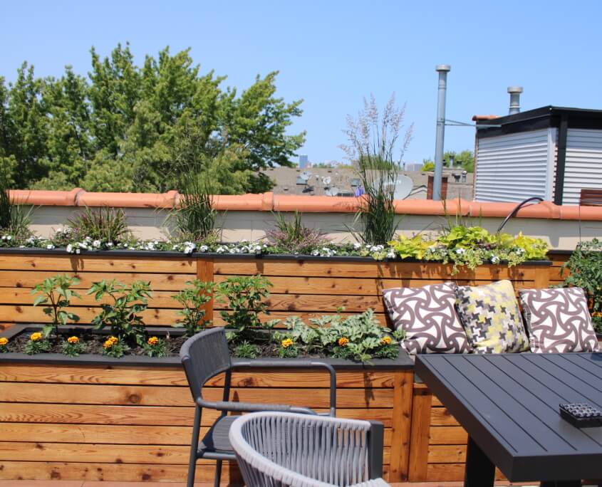 Roof deck garden wrigleyville chicago