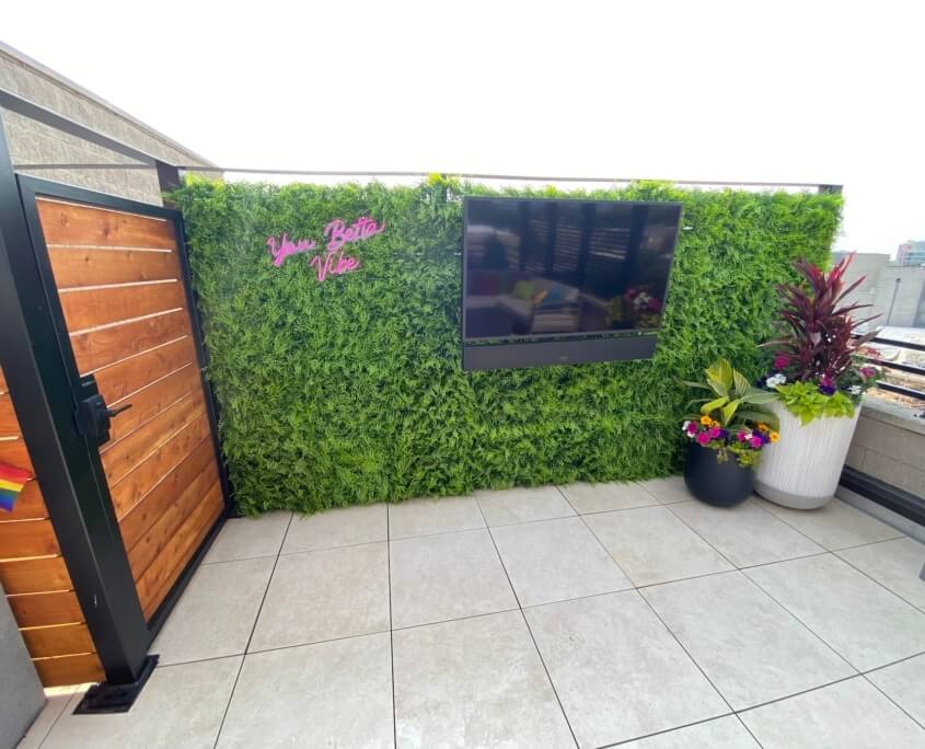tv and green wall