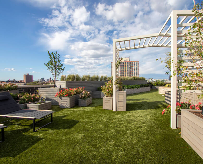 Astro Turf Garden Trellis west town chicago